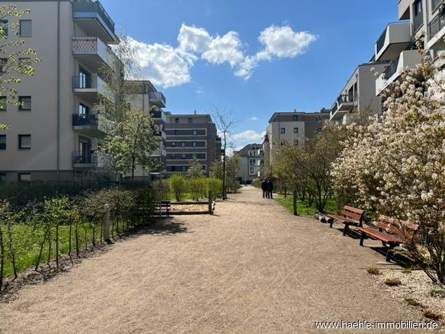 Apartment mieten in Striesen, Dresden