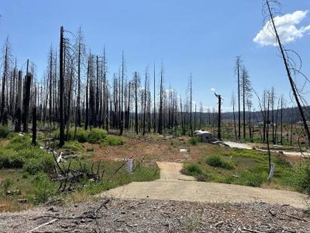 Land for sale in Grizzly Flats Land for sale in Grizzly Flats