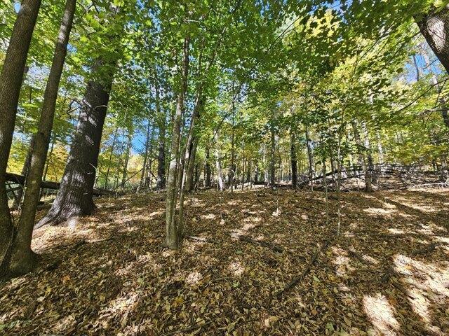 Land for sale in Strong, Maine
