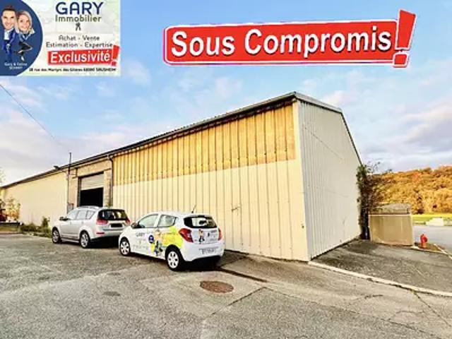 Garage vente à Strueth, Collectivité européenne d'Alsace