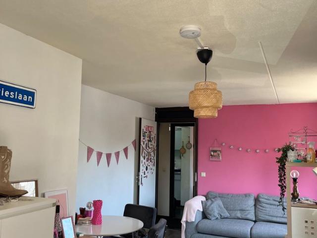 Kamer te huur in Struisenburg, Rotterdam