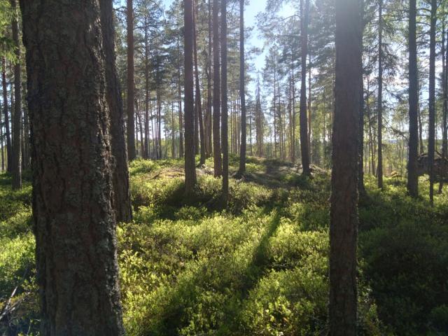 Gård till salu i Lindesberg, Örebro