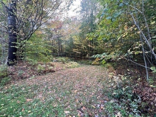 Land for sale in Florida, New York