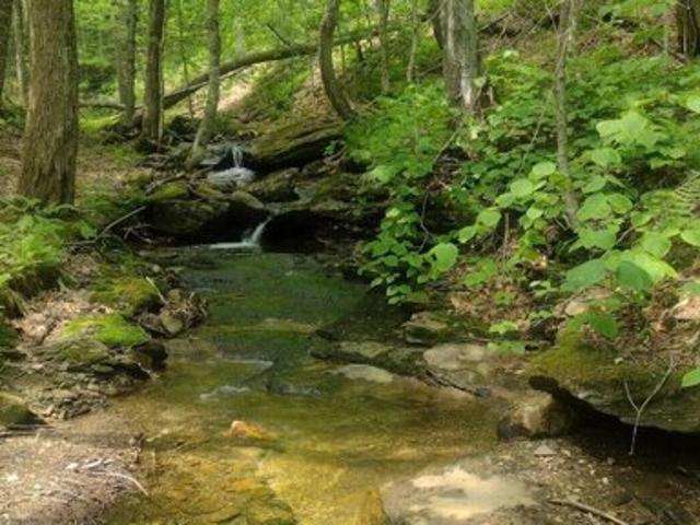 Land for sale in Berkshire, Massachusetts
