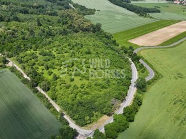 Grunt na sprzedaż w Strzegom, Dolnośląskie