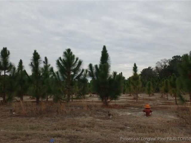 Land for sale in Fairmont, North Carolina
