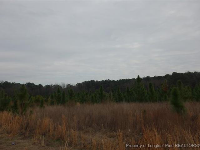 Land for sale in Fairmont, North Carolina
