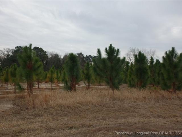 Land for sale in Fairmont, North Carolina