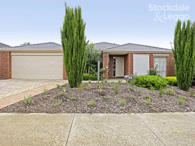 House for rent in Geelong, Victoria