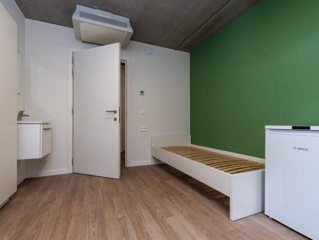 Kamer location à Sint-Jacobs, Gent