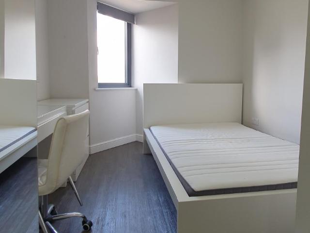 Studio for rent in Plasnewydd, Falcon Lodge