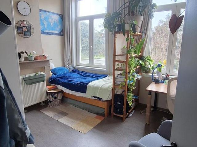 Maison location à Desteldonk, Oost-Vlaanderen