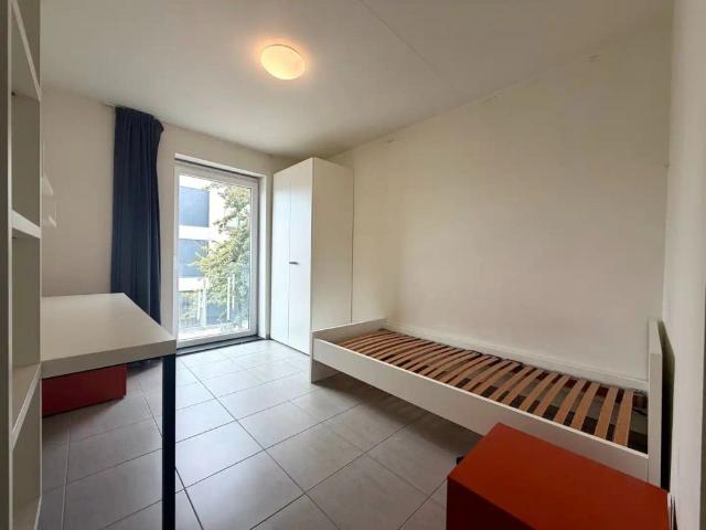 Appartement location à Courtrai, West-Vlaanderen