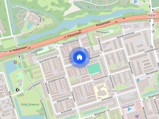 Kamer te huur in Groningen