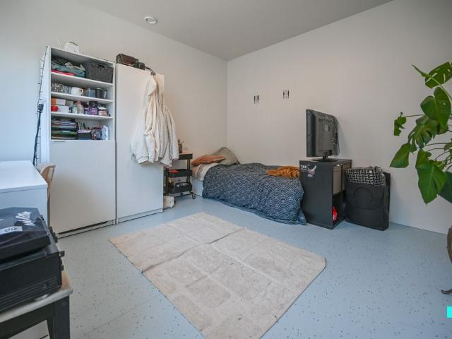 Appartement location à Courtrai, West-Vlaanderen