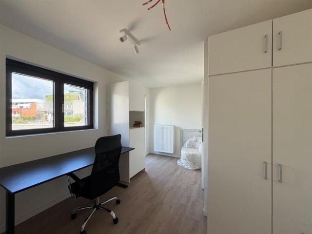 Kamer location à Hasselt