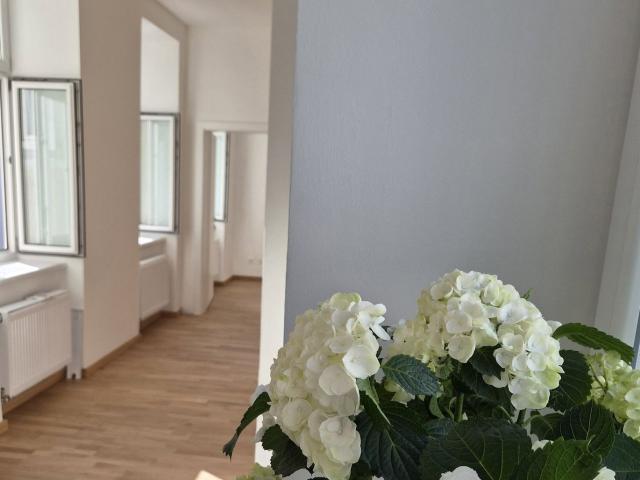 Wohnung kaufen in Seestadt, Wien