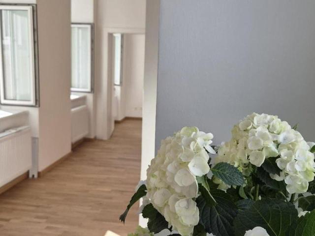 Wohnung kaufen in Leopoldstadt, Wien