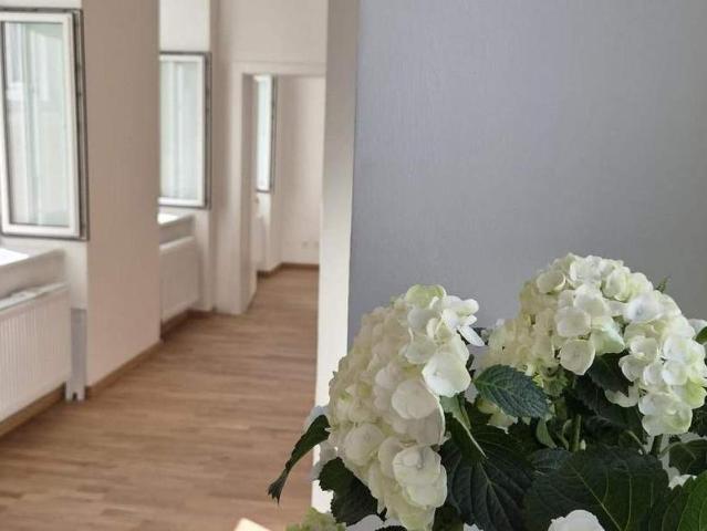 Wohnung kaufen in Leopoldstadt, Wien