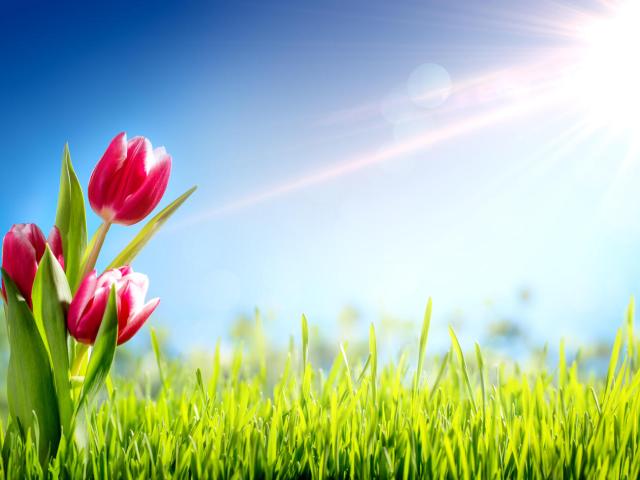 Haus kaufen in Innenstadt-West, Karlsruhe