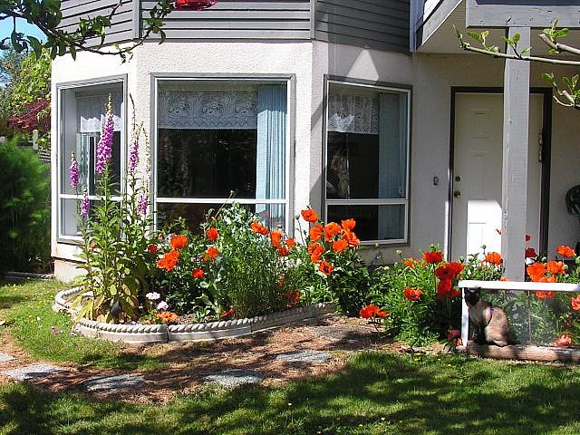 Apartment for rent in Saanich, British Columbia