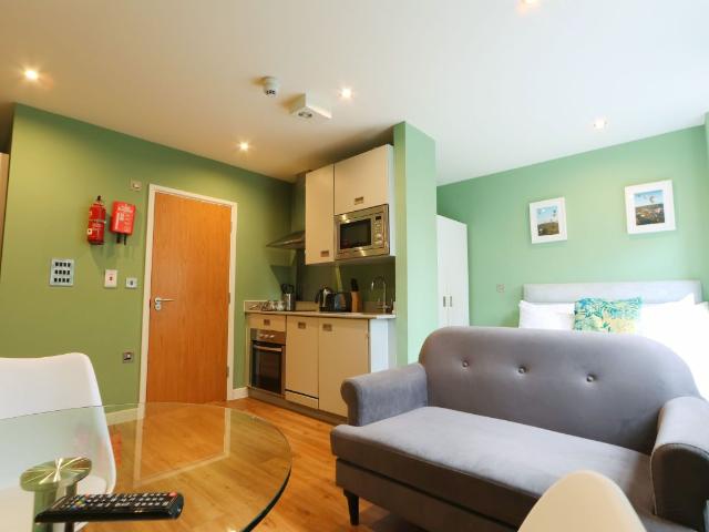 Studio for rent in City Centre, Feckenham