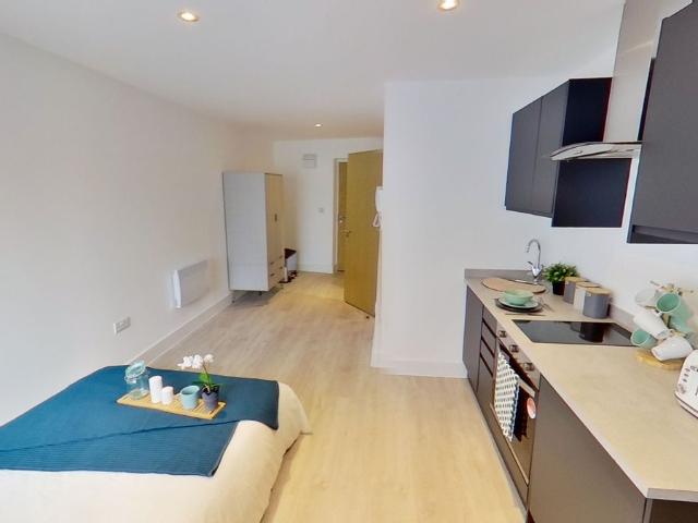 Studio for rent in Haddon, East Midlands