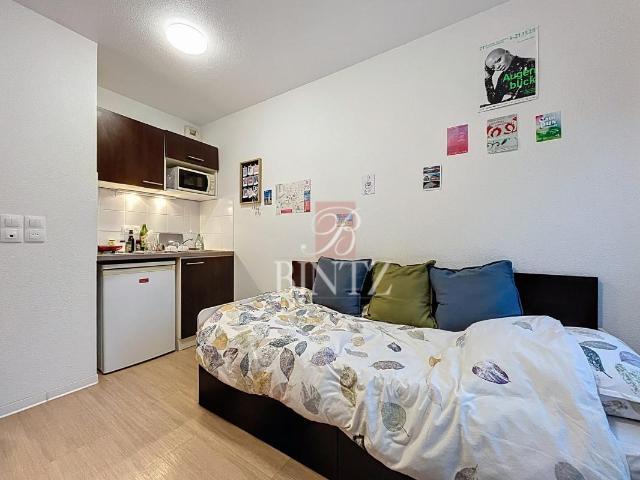 Appartement vente à Strasbourg, Hoenheim