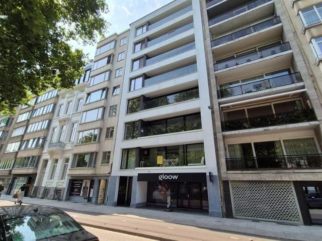 Kot location à Antwerpen