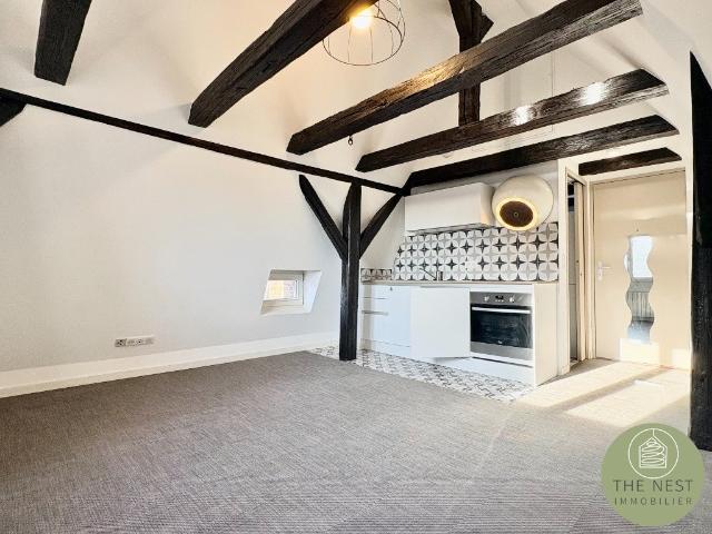 Appartement location à Colmar-Ribeauvillé, Colmar