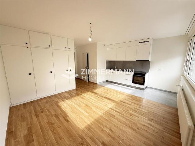 Apartment mieten in Grottes et Saint-Gervais, Genève