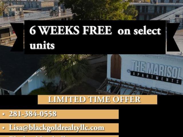 Apartment for rent in South Houston