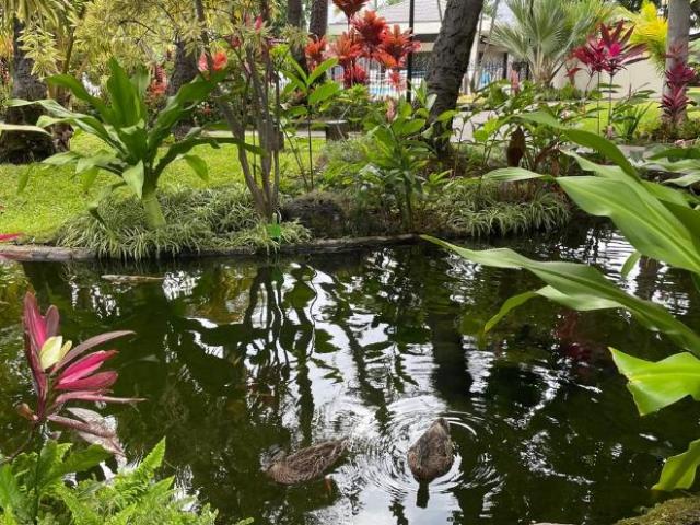 Condo for rent in Honolulu, Hawaii