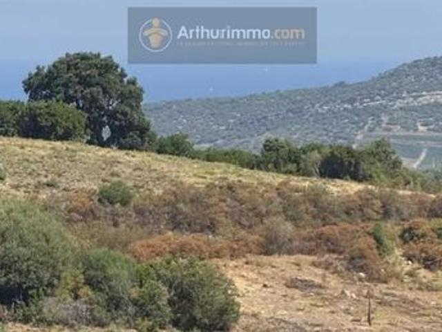 Appartement vente à Calvi, Oletta