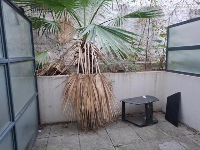 Appartement vente à Marseille