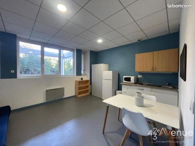 Appartement vente à Saint-Étienne, Saint-etienne