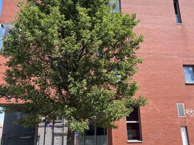 Appartement vente à Lille