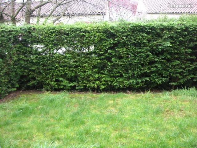 Appartement vente à Saintes