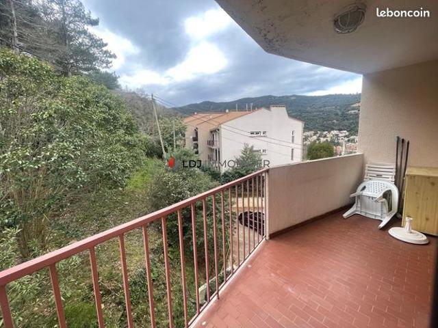 Appartement vente à Céret, Amélie-les-bains-palalda