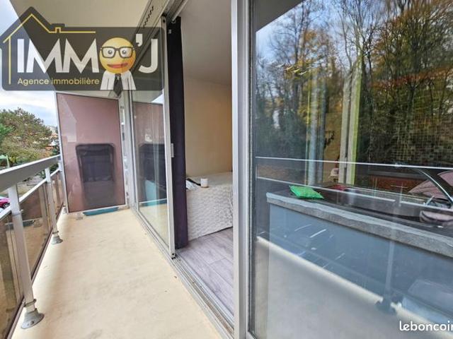 Appartement vente à Nancy