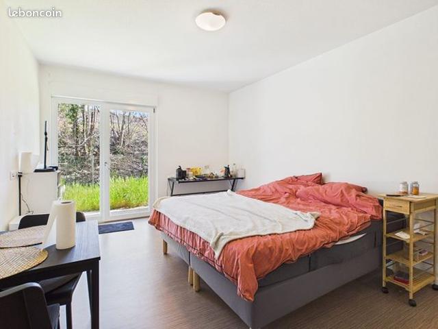 Appartement vente à Strasbourg, Hoenheim
