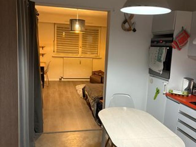 Appartement vente à Strasbourg, Hoenheim