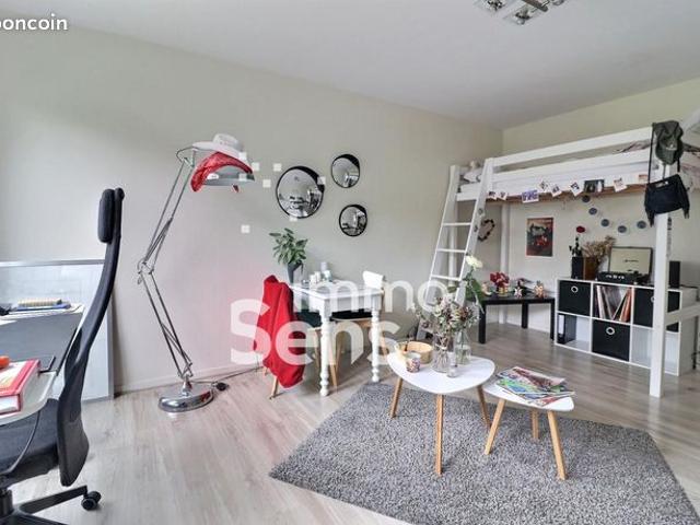 Appartement vente à Lille