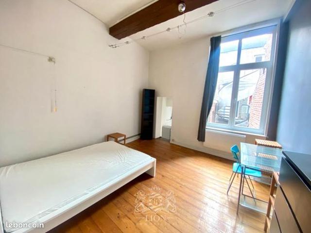 Appartement vente à Lille