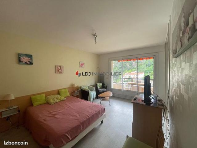 Appartement vente à Céret, Amélie-les-bains-palalda