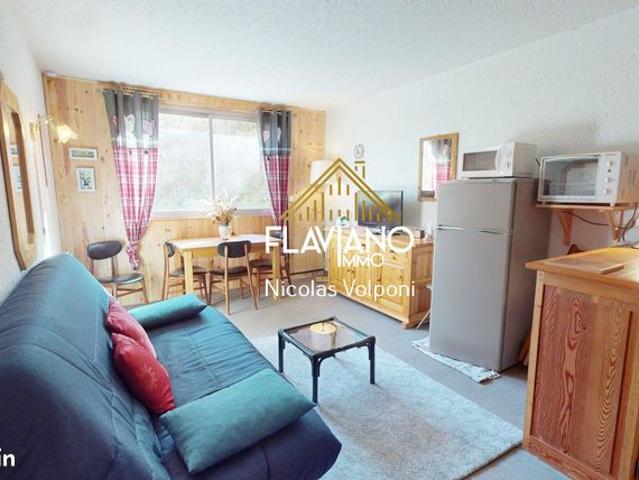 Appartement vente à Barcelonnette, Enchastrayes