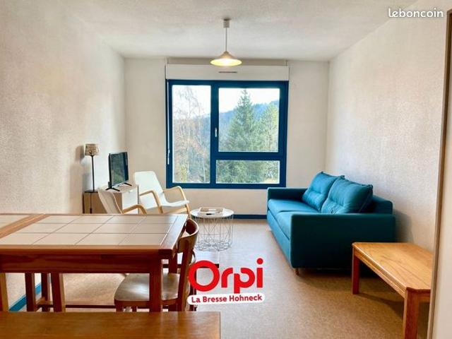 Appartement vente à Saint-Dié-des-Vosges, Xonrupt-longemer