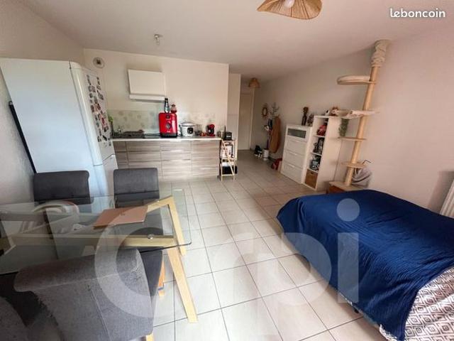 Appartement vente à Avignon