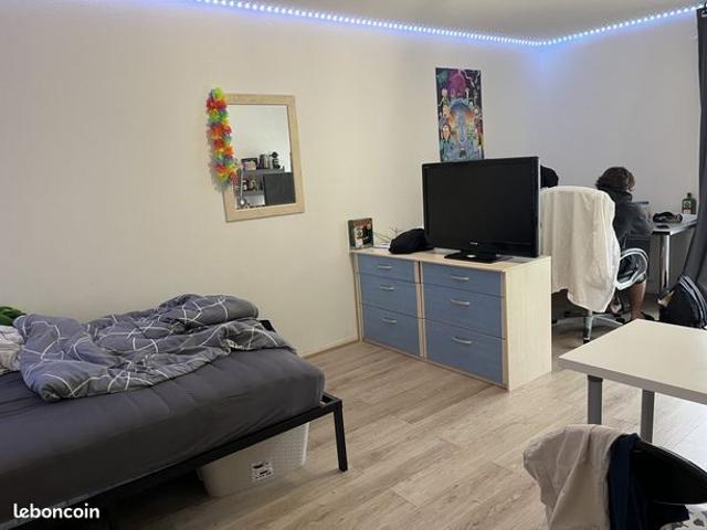 Appartement vente à Strasbourg, Hoenheim