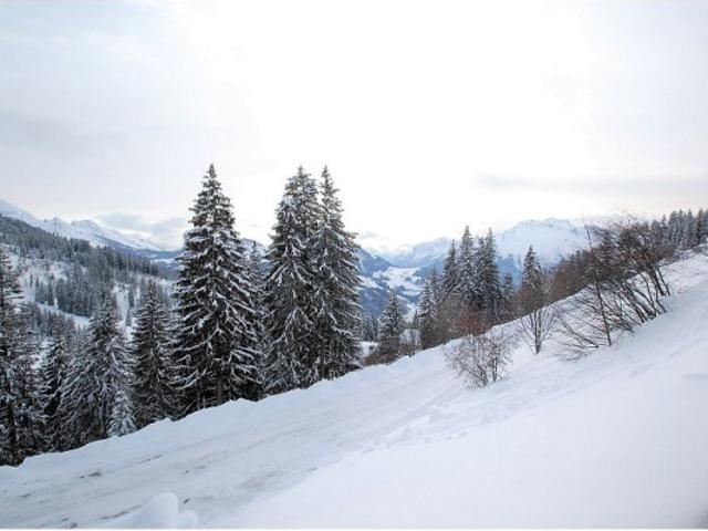 Appartement vente à Annecy, Manigod